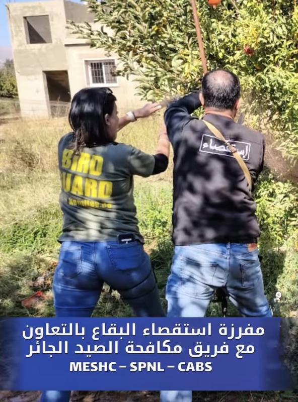 مفرزة استقصاء البقاع في أكبر عملية بتاريخ لبنان تطيح بـ”شِباك الموت” إزالة 8 آلاف متر من شبكات الصيد الجائر وإنقاذ الطيور المها