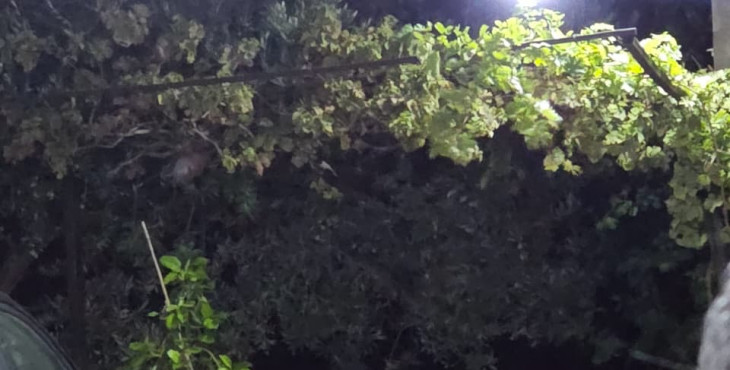 البروفيسور نصـر الله في لقاء سياسي ببلدة معركة